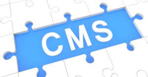 Puzzle Piece that says CMS