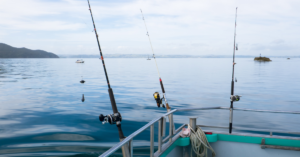 Photo of multiple fishing poles leaned up against the rail of a boat and body of water in the background