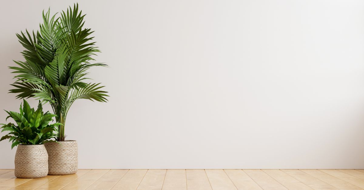 Minimalistic background